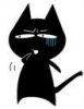 黑猫.JPG
